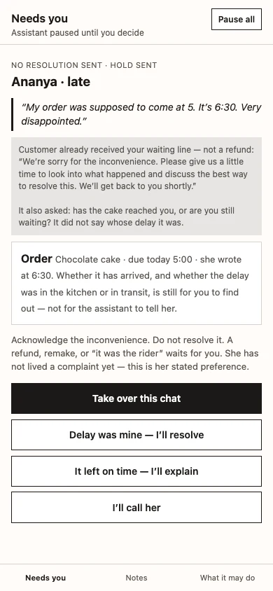 Companion layer card for Ananya's complaint, marked no resolution sent.